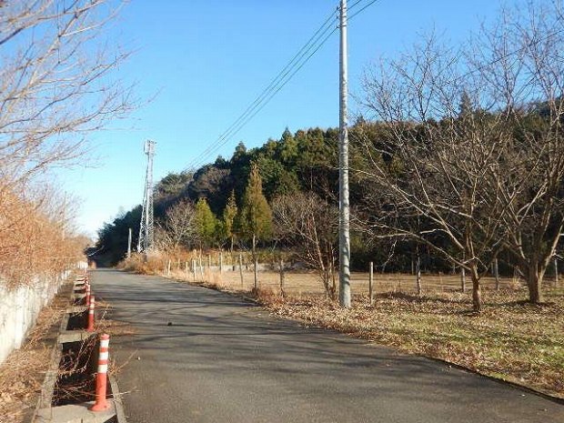 画像なし