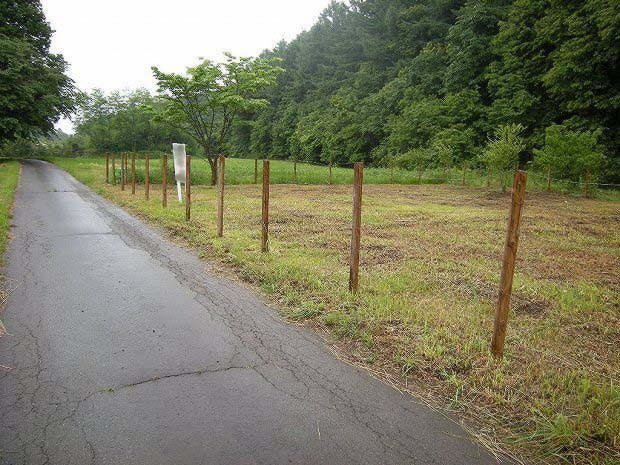 画像なし